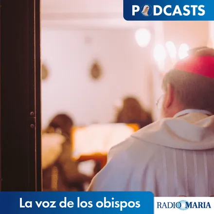 Portada de La voz de los obispos