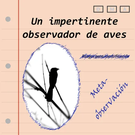 Portada de Un impertinente observador de aves