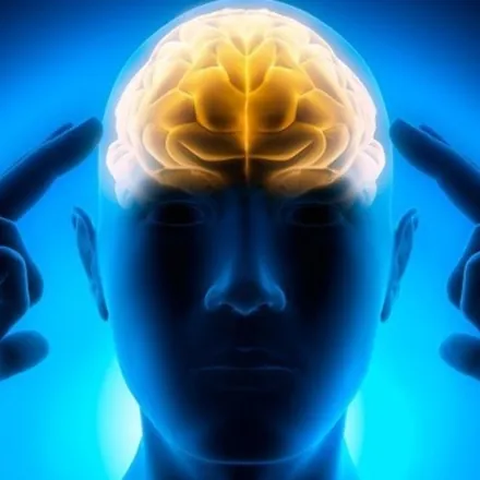 Portada de FITNESS MENTAL
