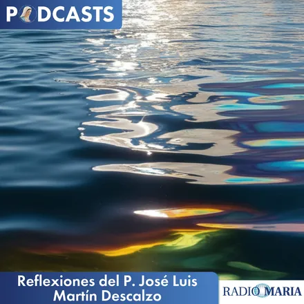 Portada de Reflexiones del P. José Luis Martín Descalzo