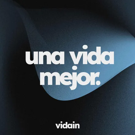 Portada de Vidain - Saltillo