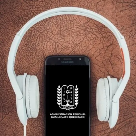 Portada de Audios IDI