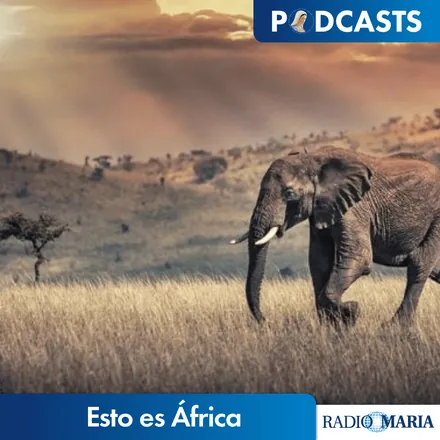 Portada de Esto es África