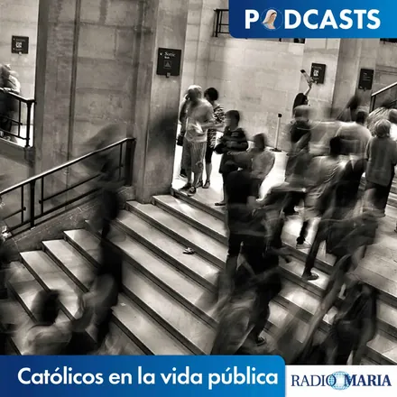 Portada de Católicos en la vida pública