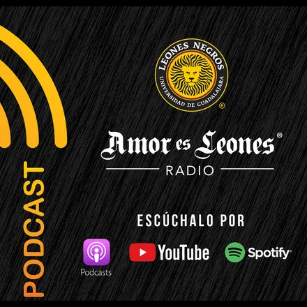 Portada de AMOR ES LEONES