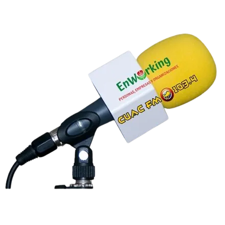 Portada de EnWorking