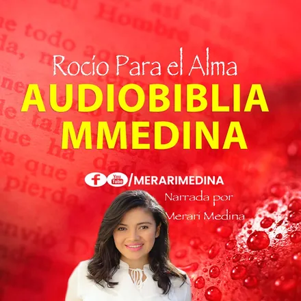 Portada de Meraris Medina