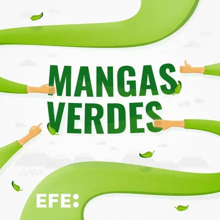 Portada de Mangas Verdes