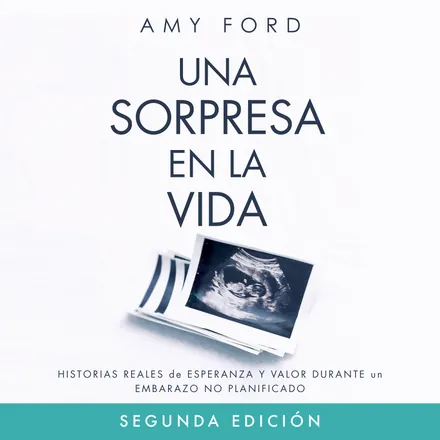 Portada de Una Sorpresa en la Vida