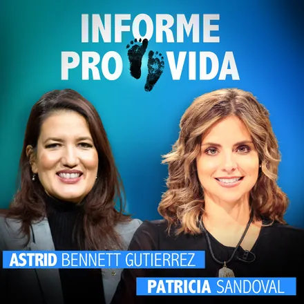 Portada de Informe provida