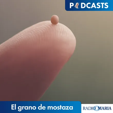 Portada de El grano de mostaza