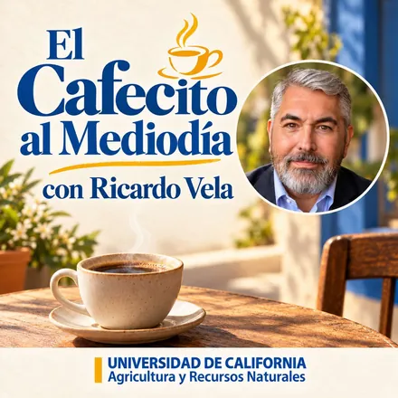 Portada de El Cafecito al mediodia con Ricardo Vela